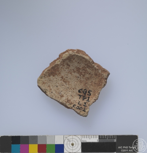 繩紋夾砂陶腹片