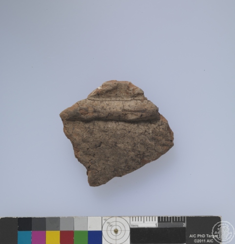 繩紋夾砂陶腹片