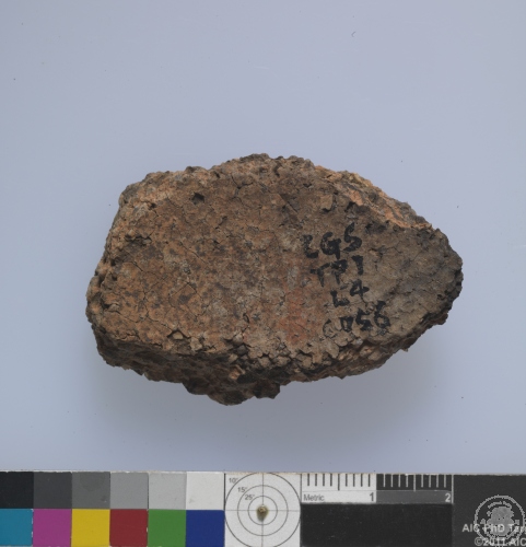 貝齒印紋夾砂陶腹片