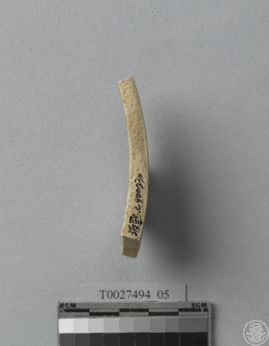 劃花青瓷碗腹片