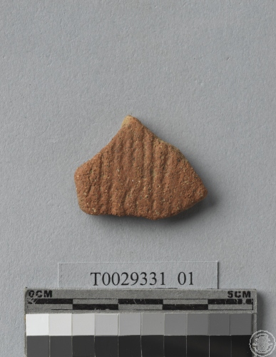 細繩紋夾砂陶腹片