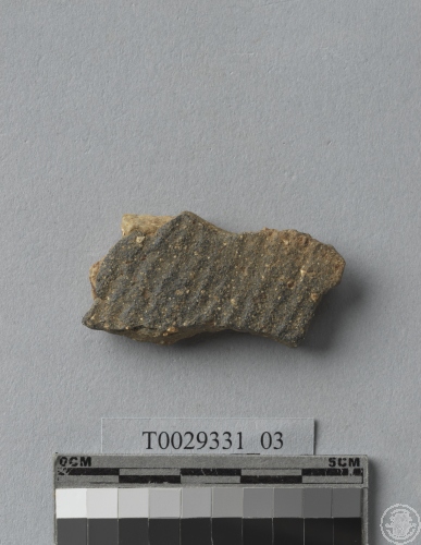 繩紋夾砂陶腹片