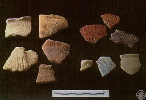 細繩紋夾砂陶腹片