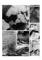 大坌坑1964年發掘現象2_N地點房屋遺留_柱洞