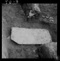 大馬璘1949年挖掘C10坑石板