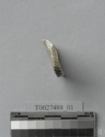 劃花青瓷碗口緣