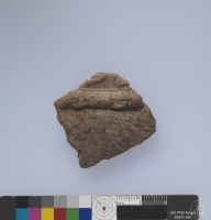 繩紋夾砂陶腹片