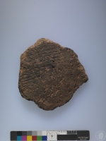 複合印紋夾砂陶腹片