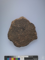 複合印紋夾砂陶腹片