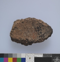 貝齒印紋夾砂陶腹片